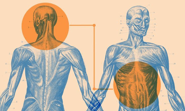 The Gut-Sleep Connection: Why You Can't Fix One Without the Other